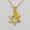 שרשרת תליון מגן דוד