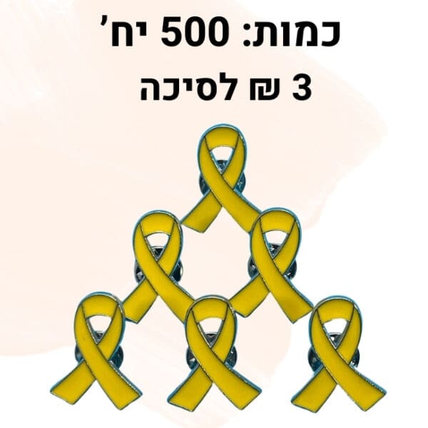 500 סיכות חטופים