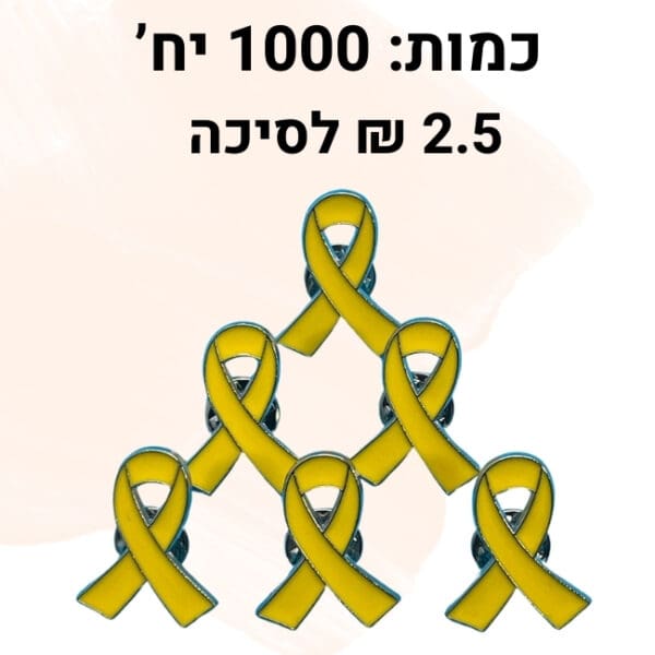 סיכות חטופים